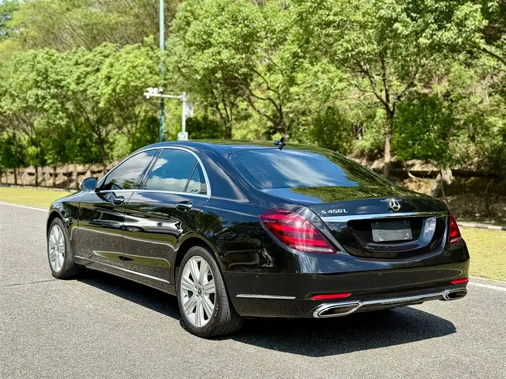 Mercedes-Benz S-Class 2018 S 450 L фото 7