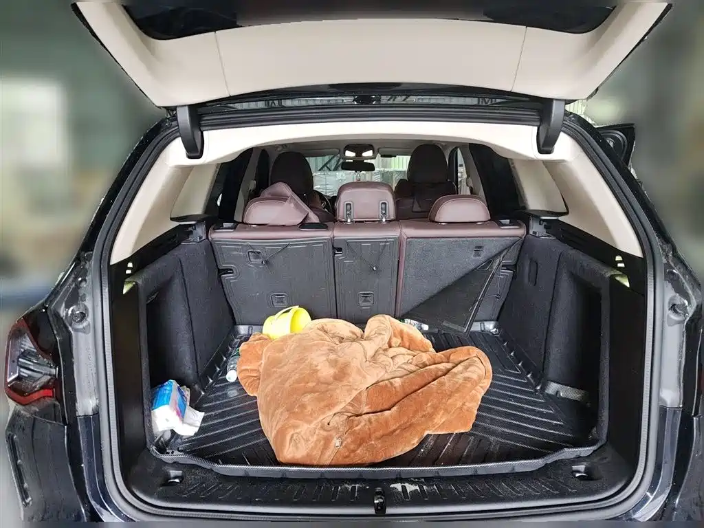 BMW X3 2023 xDrive30i Leading M Night Package фото 10