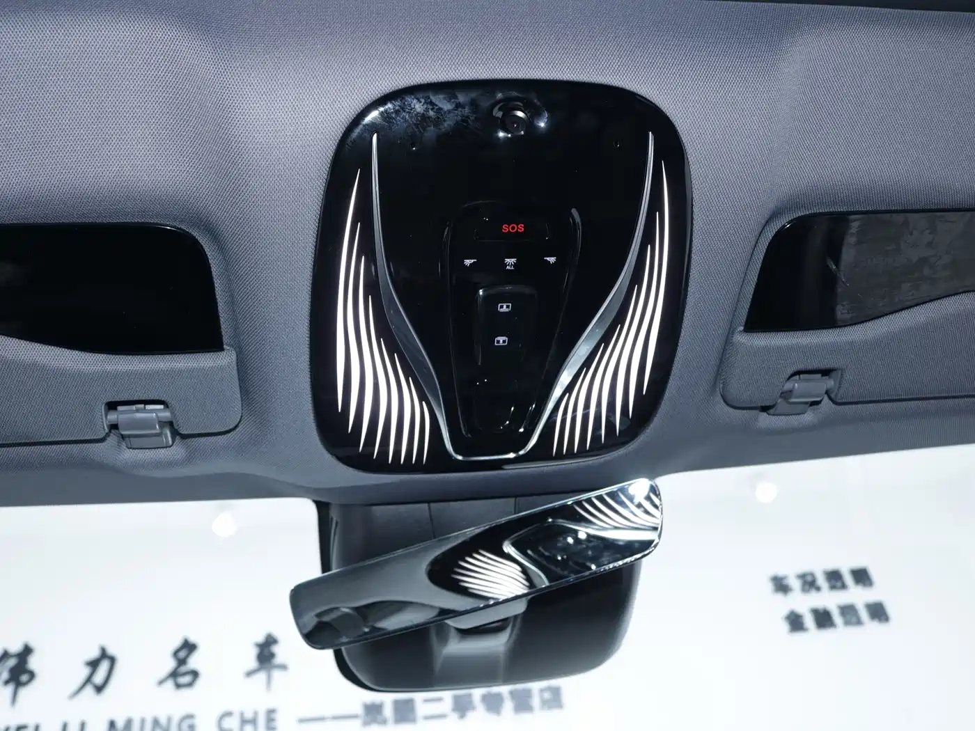 Voyah Passion 2025 2024 PHEV AWD Ultra-long Range Executive Edition