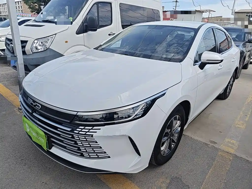 BYD Destroyer 05 2024 Glory Edition DM-i 55KM Luxury фото 2