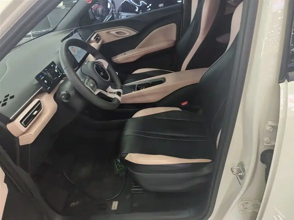 BYD Seagull 2023 Vitality Edition фото 15
