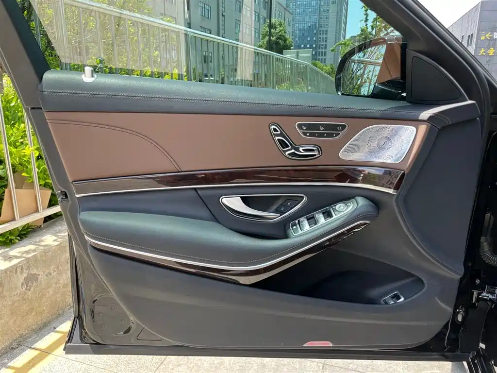 Mercedes-Benz S-Class 2020 S 350 L Premium Edition Collector's Version фото 10