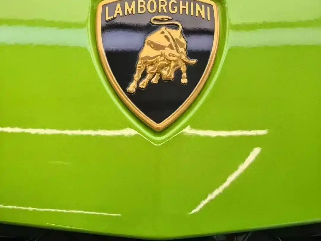 Lamborghini Urus SE 2025 4.0T Standard Edition фото 10