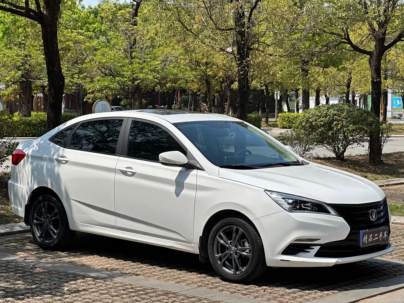 CHANGAN YIDONG DT
