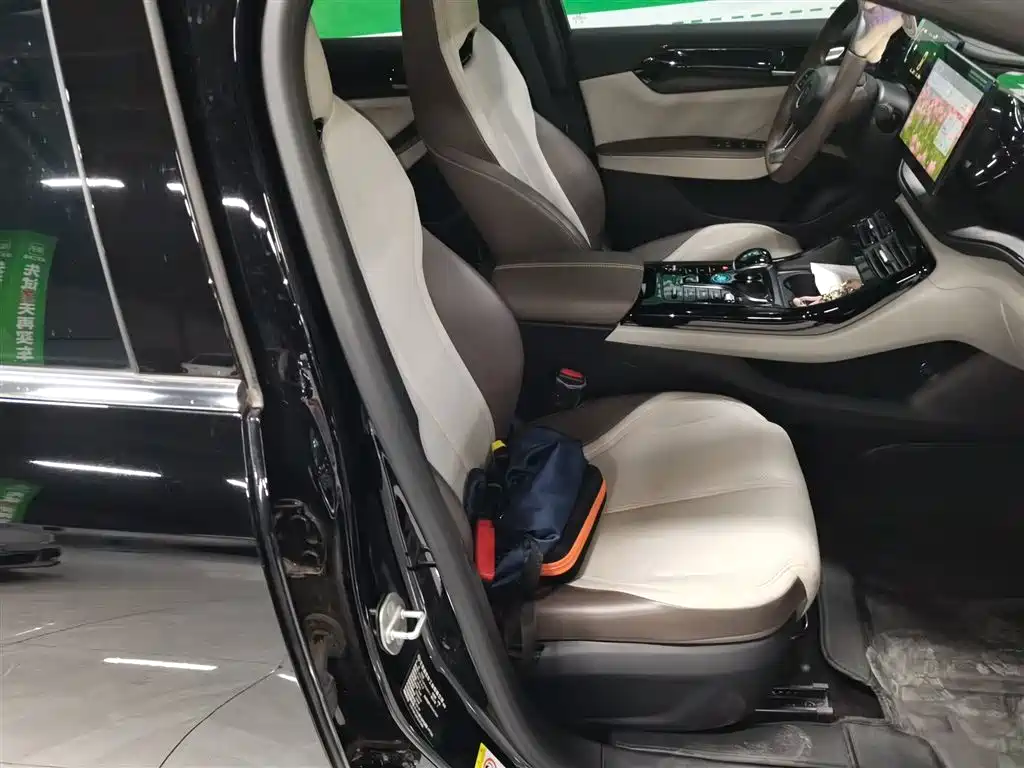 BYD Qin PLUS 2023 Champion Edition DM-i 55KM Leading фото 20
