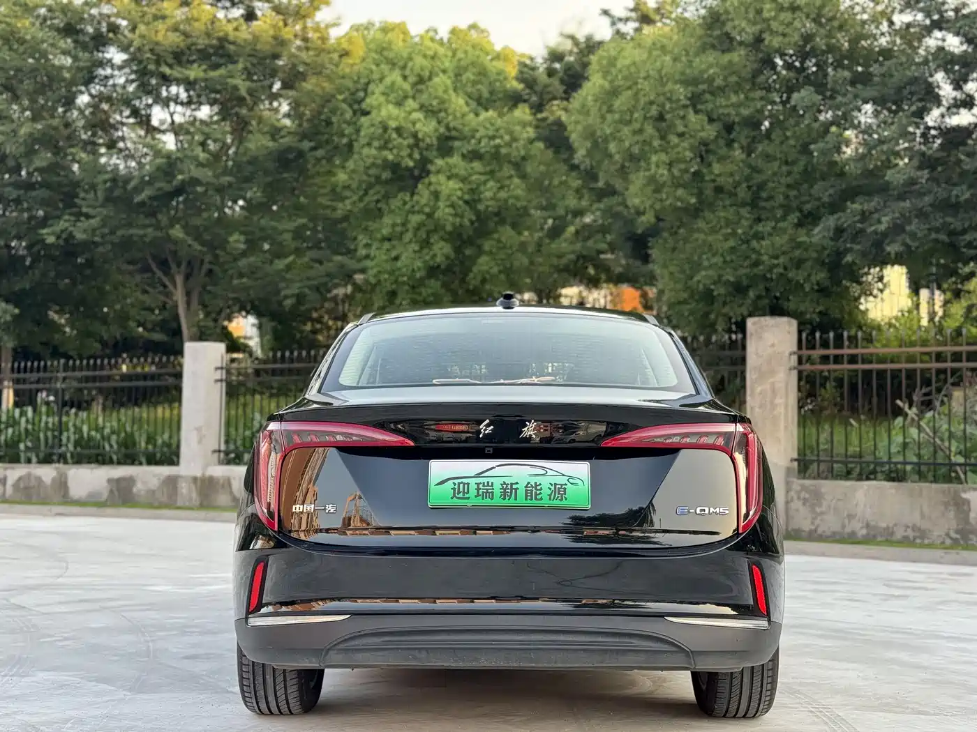 Hongqi E-QM5 2023 Basic Travel Edition фото 5