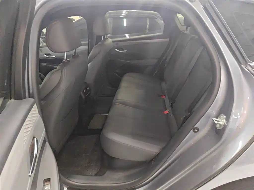 BYD Qin PLUS 2024 Glory Edition DM-i 55KM Leading фото 17