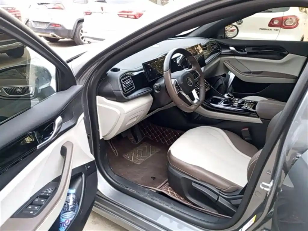 BYD Qin PLUS 2024 Glory Edition DM-i 55KM Leading фото 16