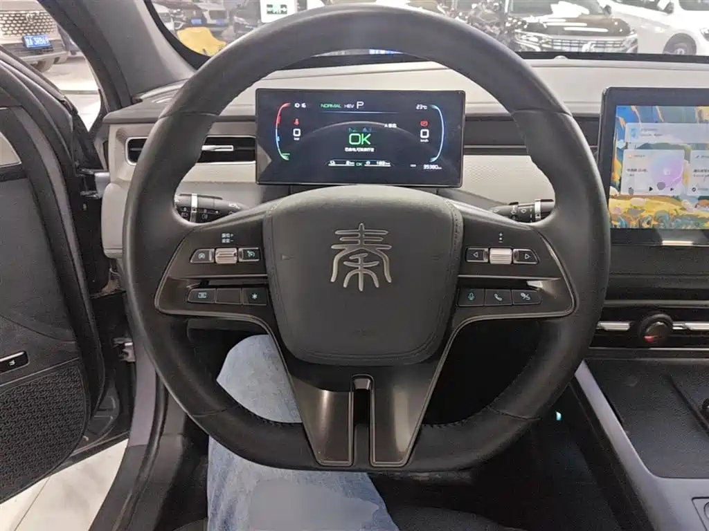 BYD Qin PLUS 2024 Glory Edition DM-i 55KM Leading фото 11