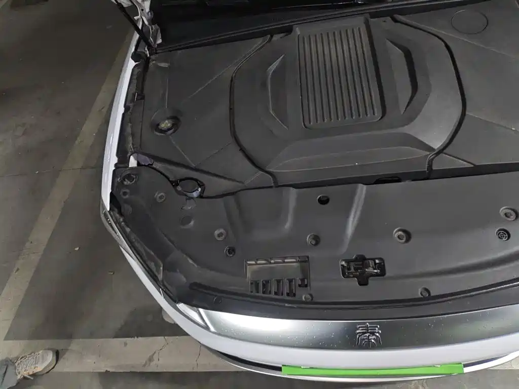 BYD Qin PLUS 2021 EV 500KM Luxury Model фото 20