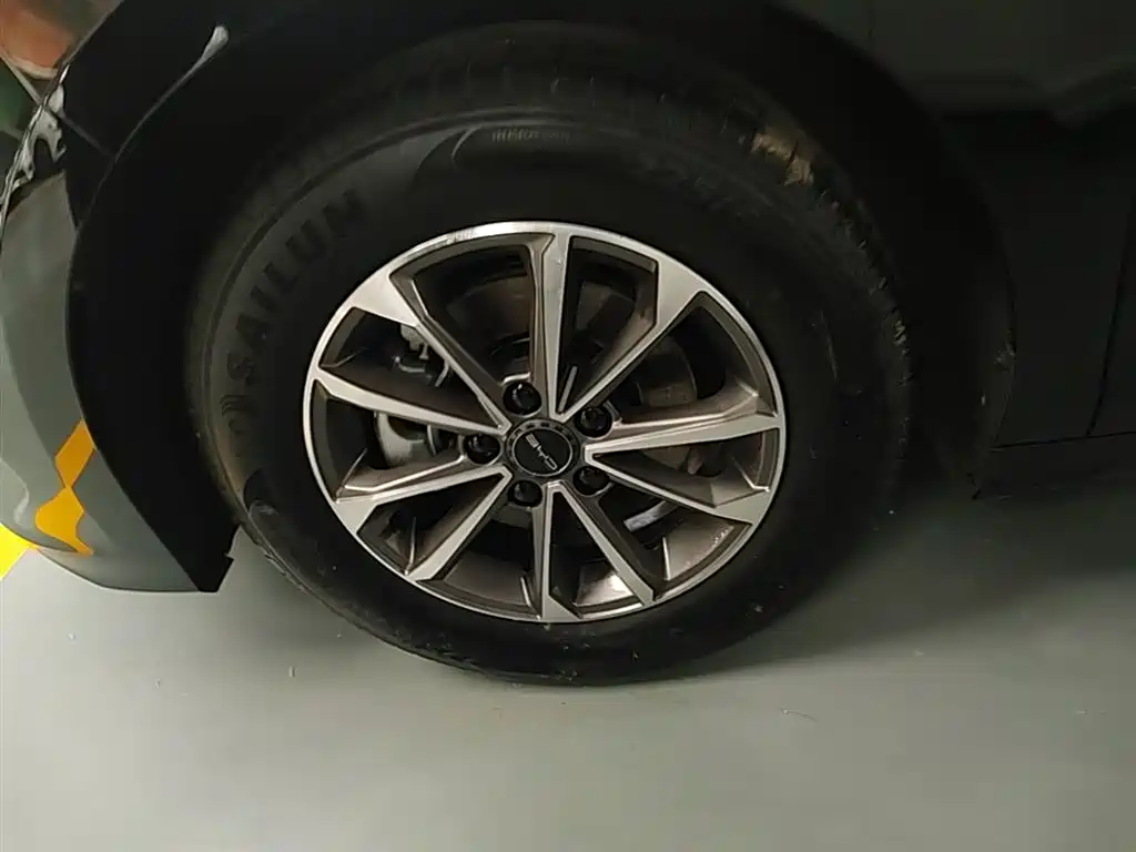 BYD Destroyer 05 2024 Glory Edition DM-i 55KM Luxury фото 23