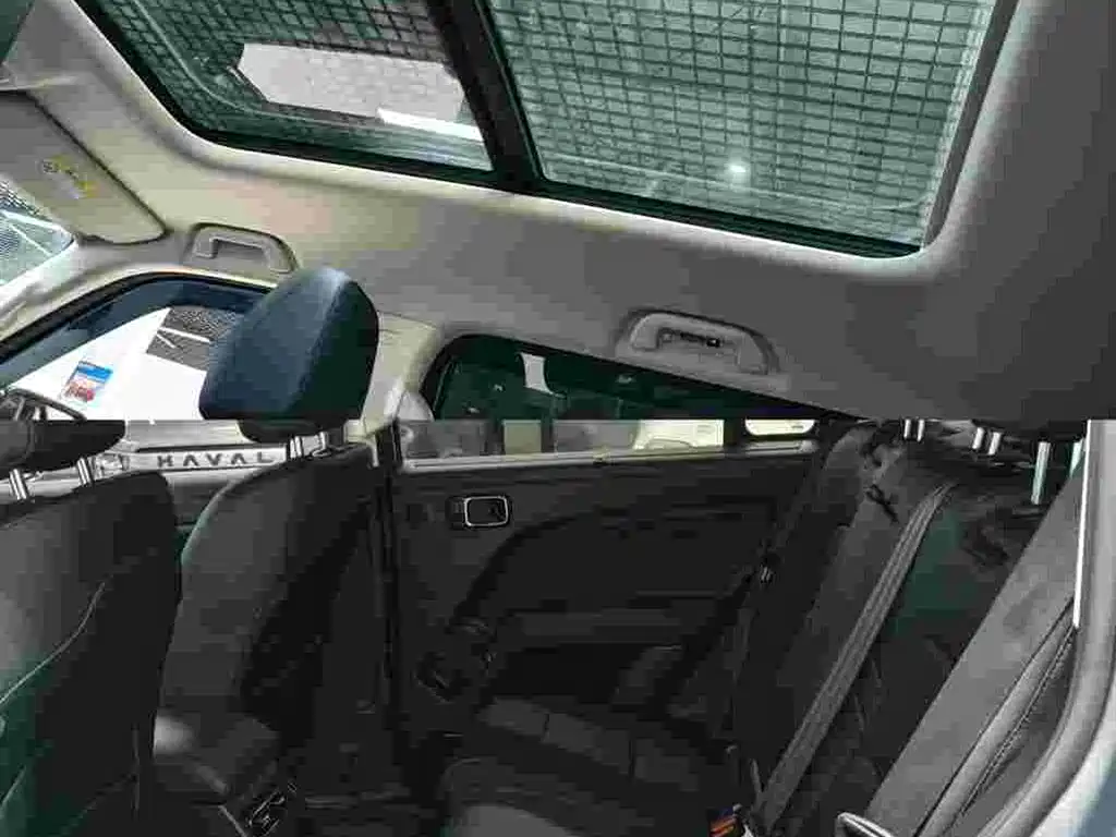 Haval Raptor 2025 2024 Hi4 145 Cross-country Edition
