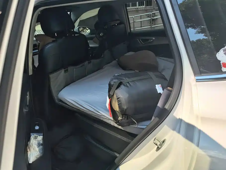 Roewe RX5 eMAX 2020 2020 500PHEV Smart Cockpit Flagship Edition