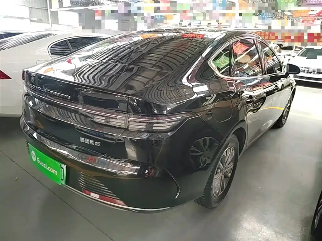 BYD Destroyer 05 2024 Glory Edition DM-i 55KM Luxury фото 7