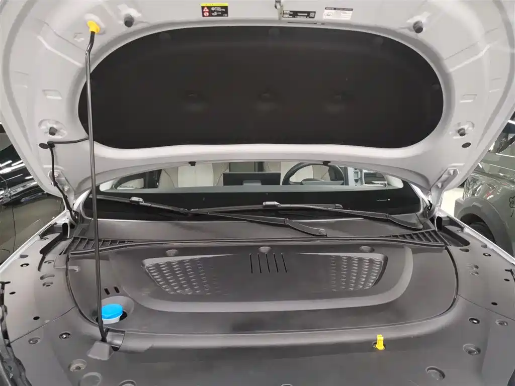 BYD Yuan PLUS 2025 Smart Drive 510KM Surpass Edition фото 13