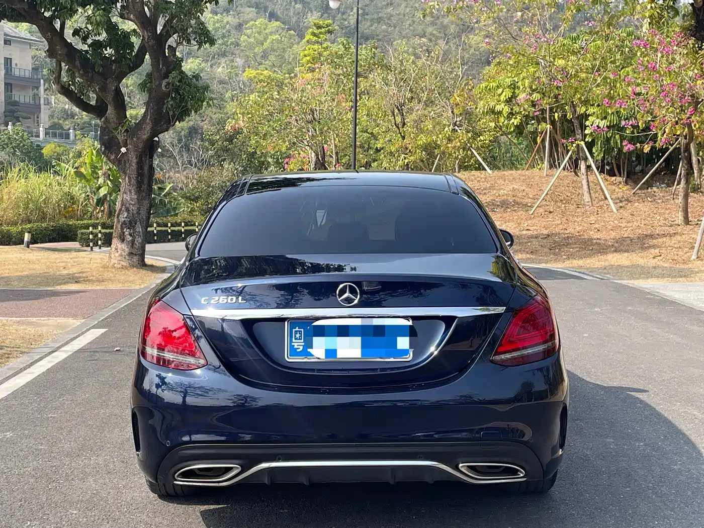 Mercedes-Benz C-Class 2019 Facelift C 260 L Sport фото 8