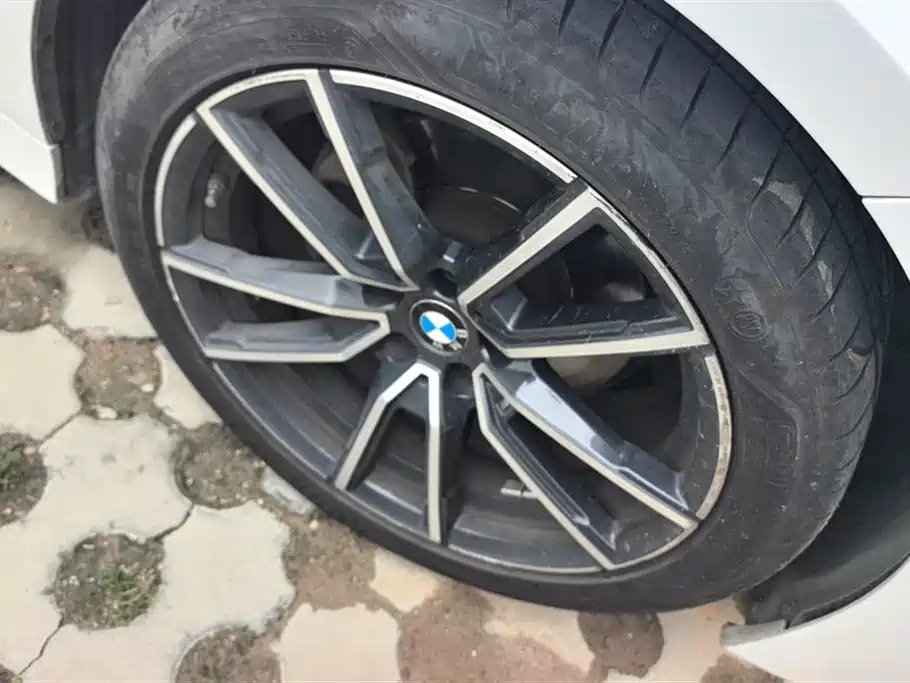 BMW 3 Series 2021 320Li M Sport Package фото 6
