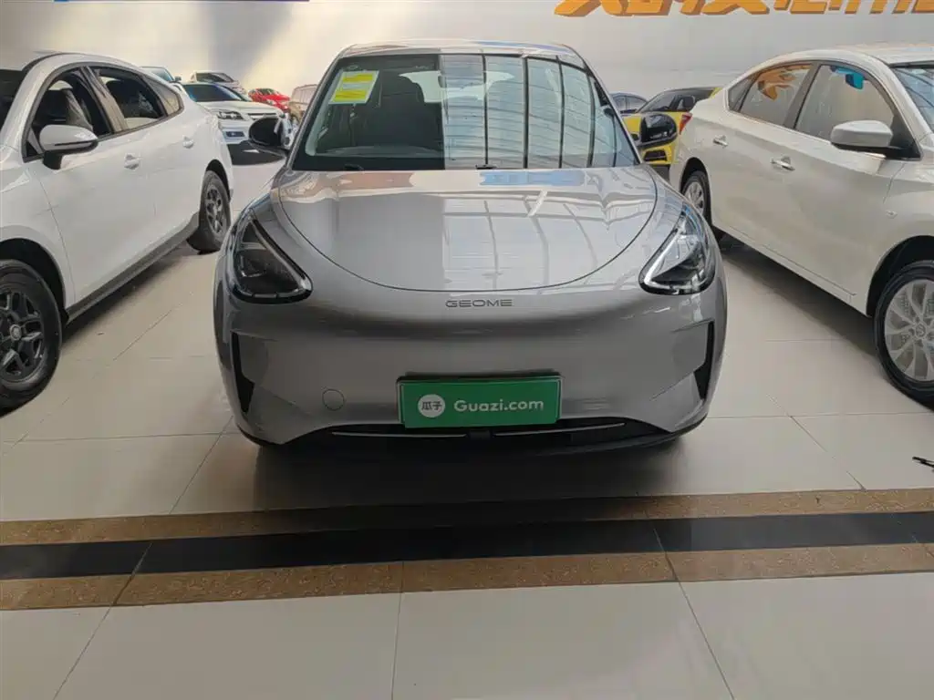 Geely Galaxy Starry Wish 2026 Edition 310km Youth Version фото 3