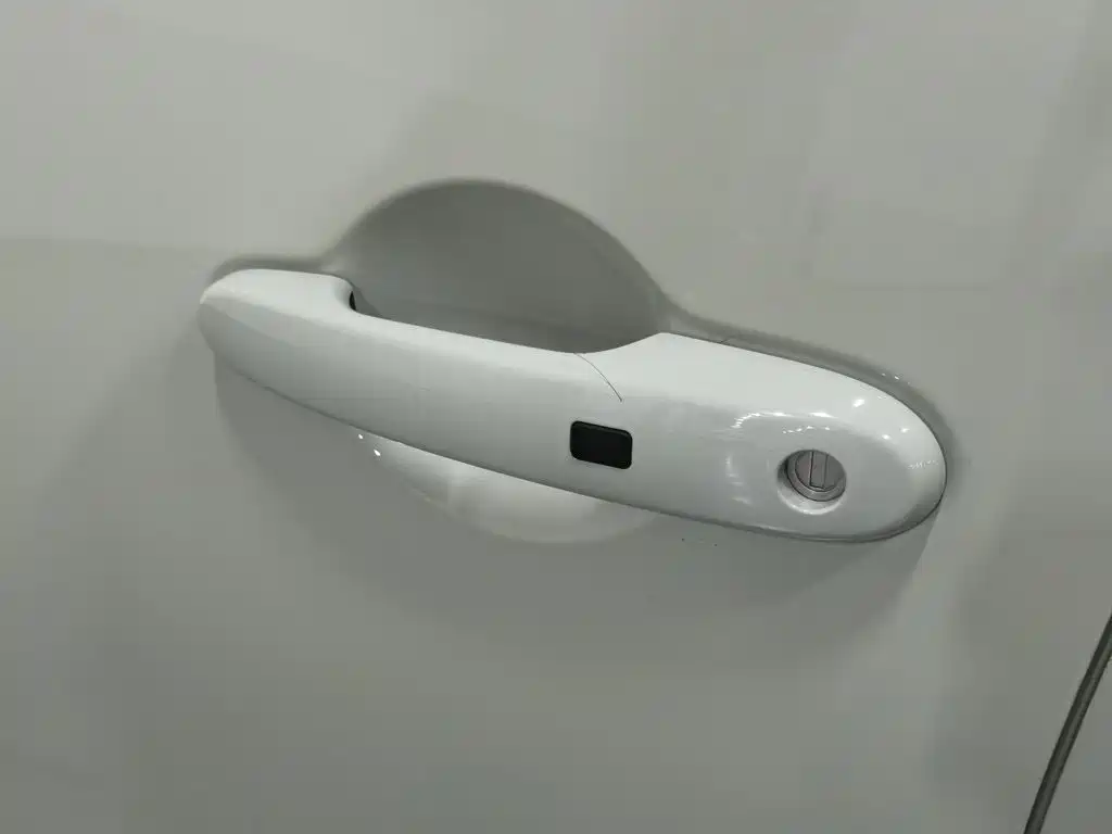 Ora White Cat 2021 2020 305km Luxury