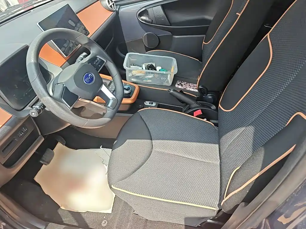 BYD e1 2019 2019 Radiance Edition