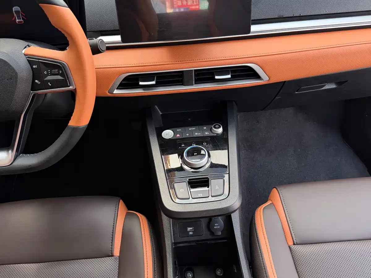 BYD e2 2021 Luxury Edition фото 30