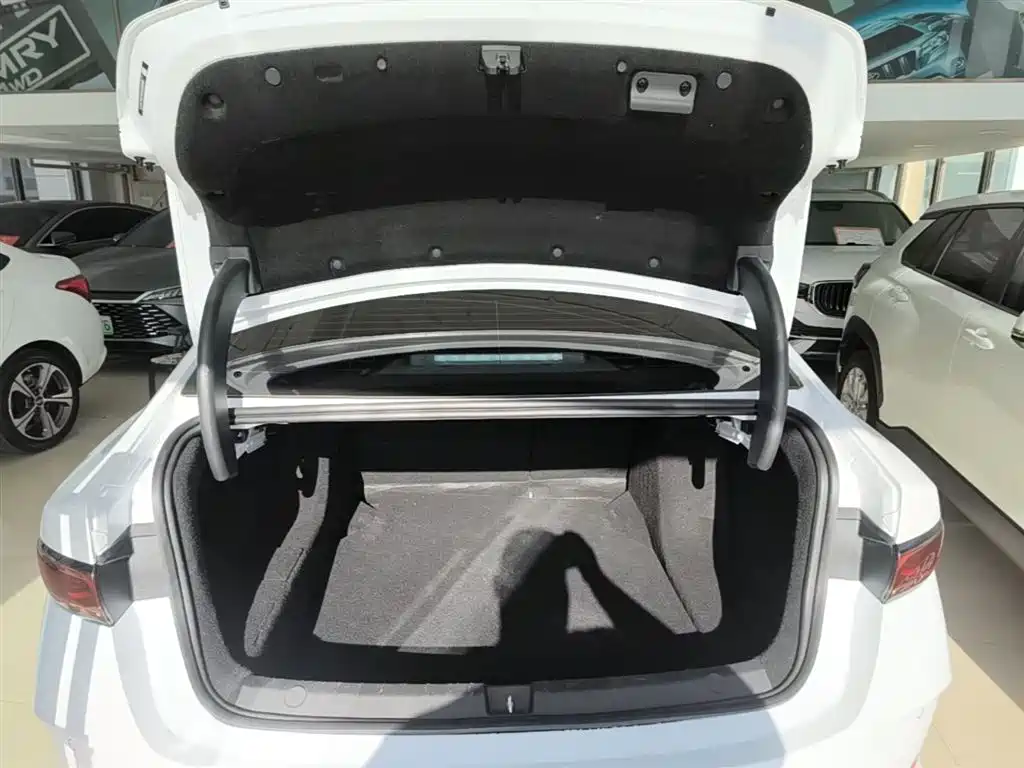 BYD Qin PLUS 2025 DM-i Smart Drive 55KM Leader фото 19