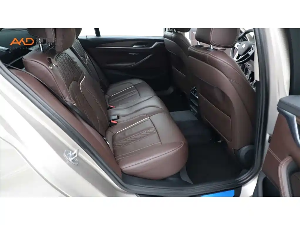 BMW 5 Series 2019 Facelift 530Li Leading Luxury Package фото 8