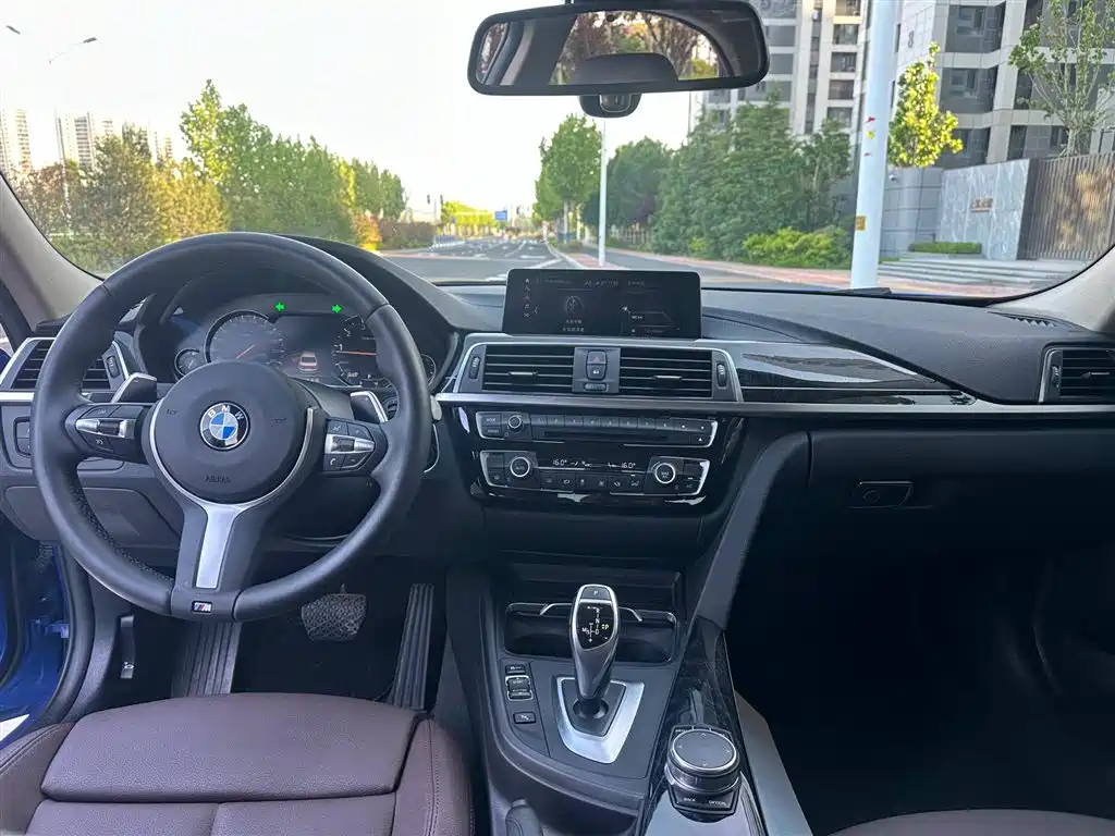 BMW 3 Series 2019 320Li M Sport Black Night Edition фото 8