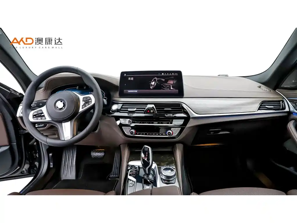 BMW 5 SERIES NEW ENERGY