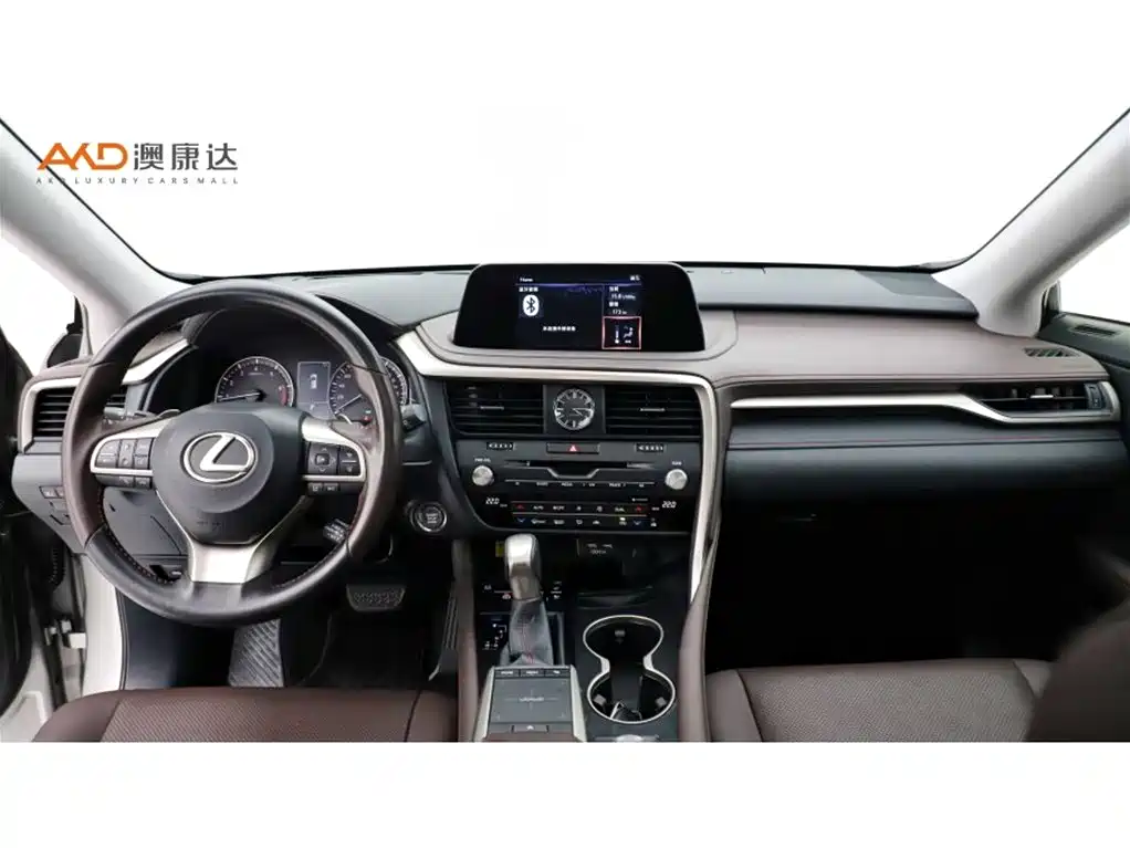 Lexus RX 2020 300 4WD Elegance Edition China VI фото 5