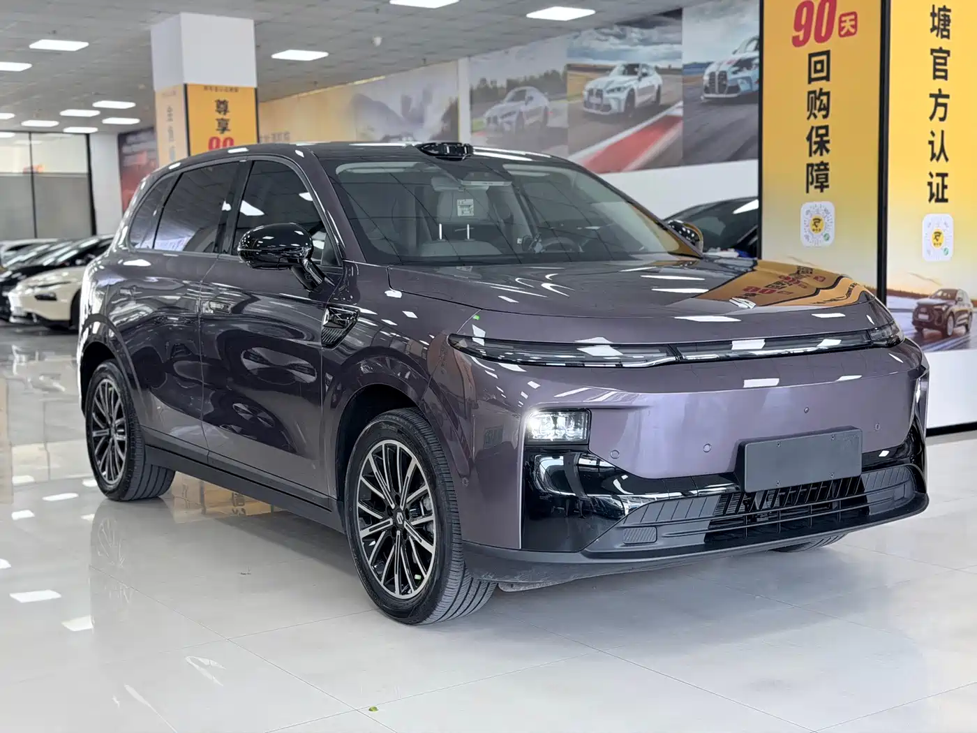 2026 Leapmotor B10