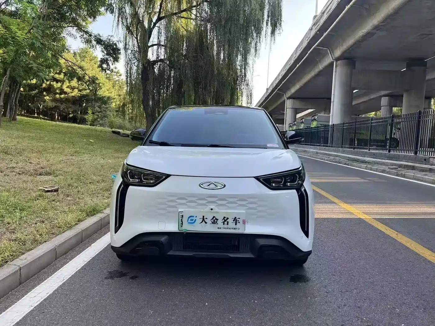 Chery New Energy Chery Wujie Pro 2022 2022 Model 301km Mythical Beast Edition NCM