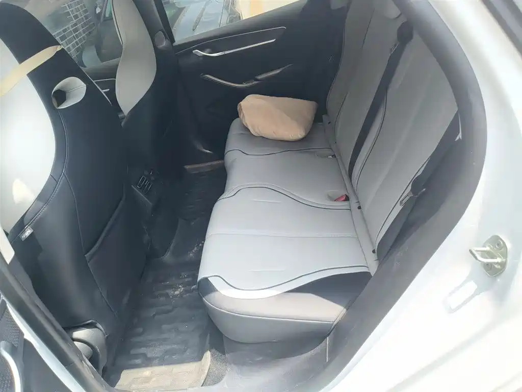 BYD Destroyer 05 2024 Glory Edition DM-i 55KM Luxury фото 15