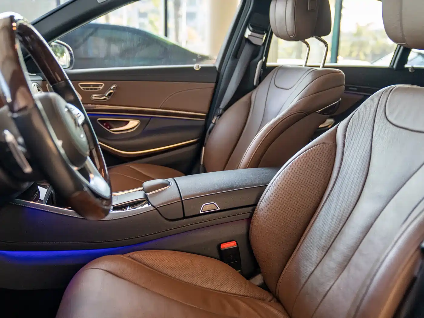 Mercedes-Benz S-Class 2020 S 350 L Premium Edition Collector's Version фото 12