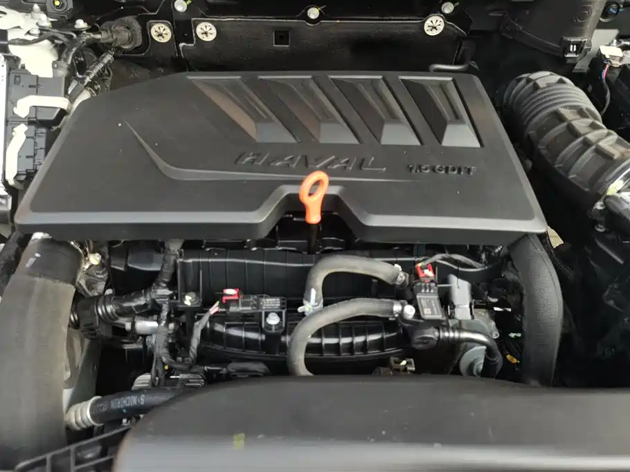 Haval Big Dog 2021 1.5T DCT 2WD Border Collie Edition фото 10