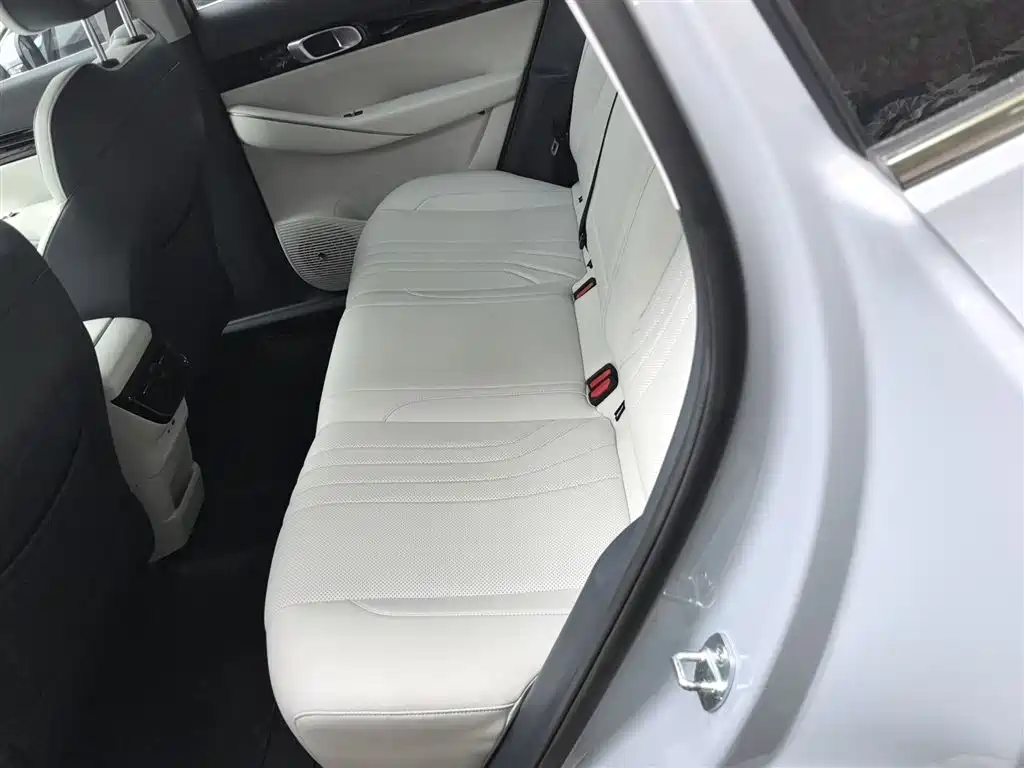 Geely Galaxy Galaxy E5 2024 530km Starship Edition фото 12