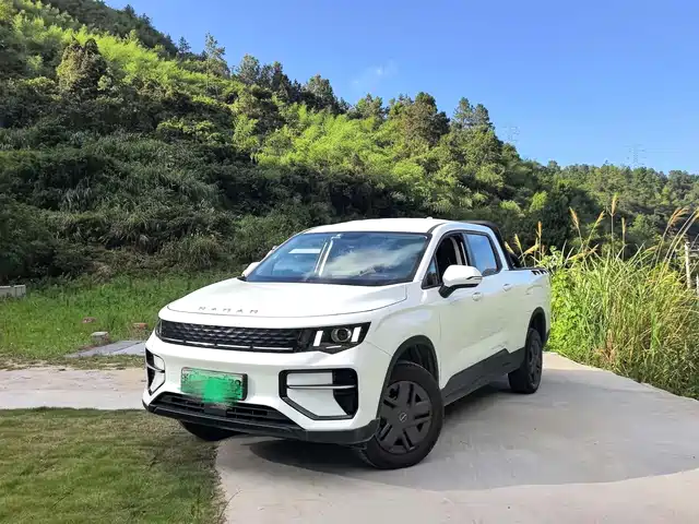  Geely Radar Radar King Kong 2025 430km 2WD Standard Cargo Wealth Guardian