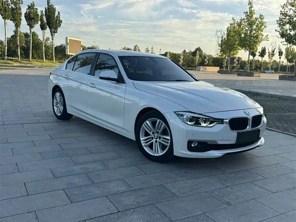 BMW 3 Series 2017 320Li Fashion фото 7