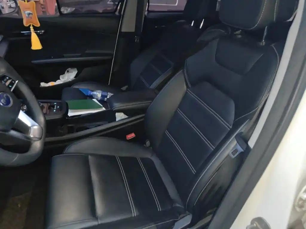 BYD e2 2019 Standard Range Intelligent Comfort фото 12