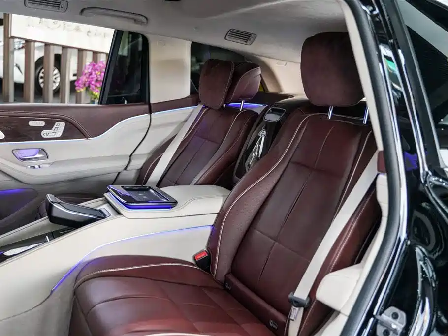 Mercedes-Benz Maybach GLS 2021 GLS 600 4MATIC Ritual Edition фото 10