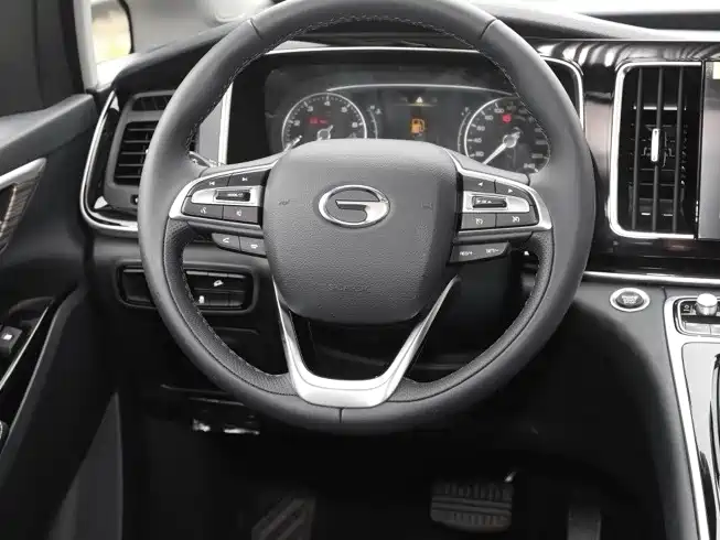GAC Trumpchi Trumpchi M8 2021 Leading Show Series 390T Premium Edition фото 5
