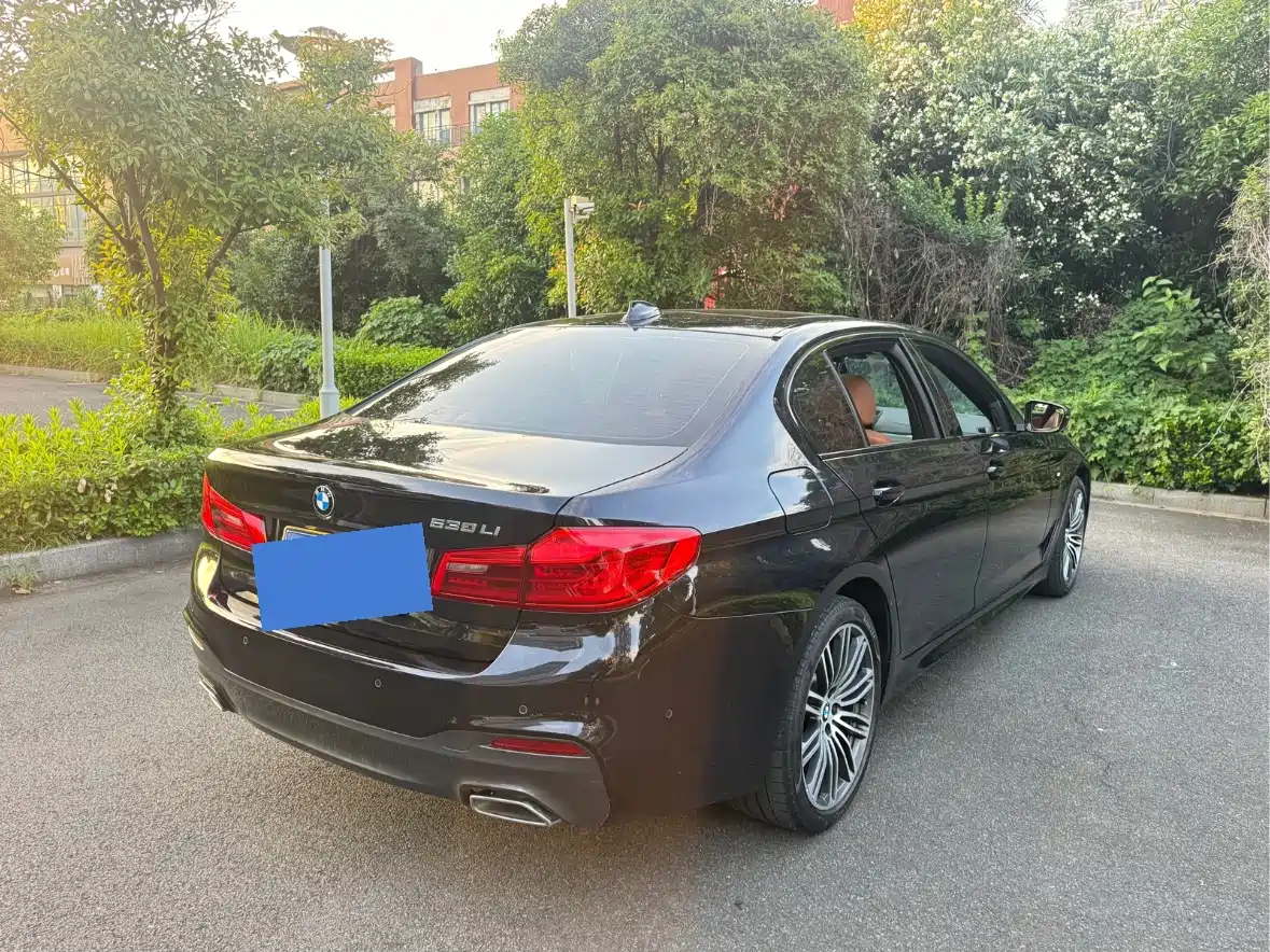 BMW 5 Series 2019 530Li Premium M Sport Package фото 6