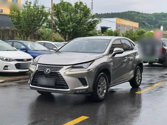 Lexus NX 2020 200 FWD Fengyi Edition China VI