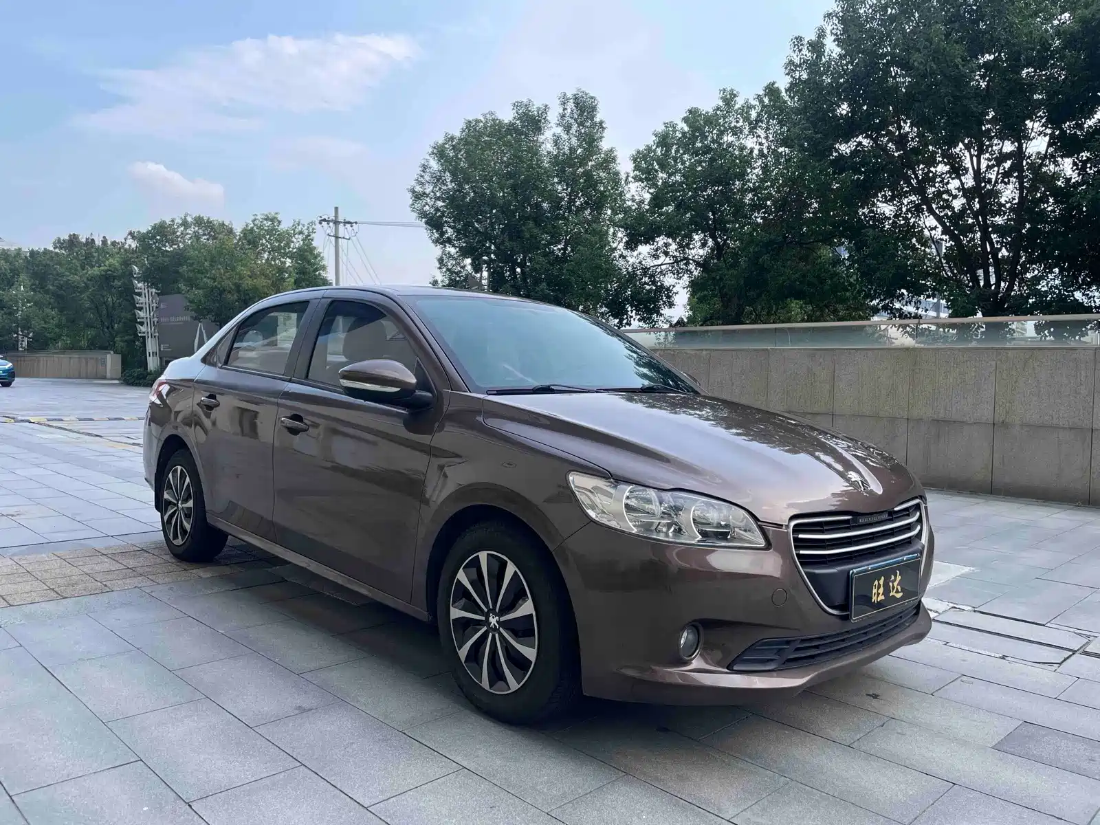 صورة 3 - Peugeot 301