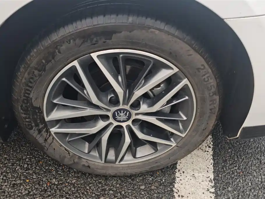 BYD Qin PLUS 2021 DM-i 120KM Flagship фото 6