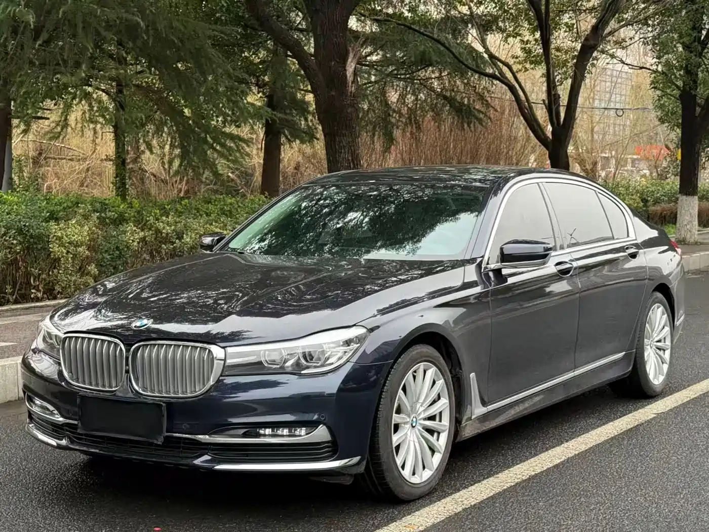 BMW 7 Series 2018 730Li Leading Type Excellence Package