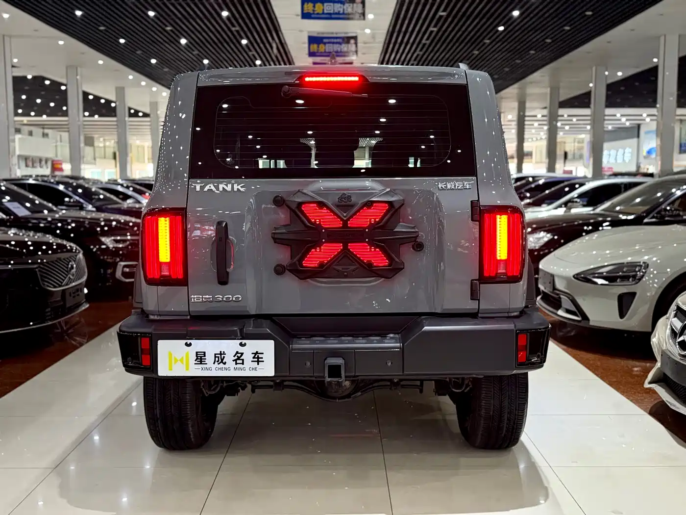 Tank 300 2023 Off-Road Edition 2.0T Conqueror фото 19