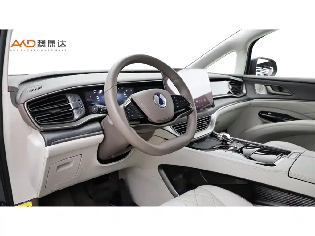 Denza D9 2022 DM-i 970 All-Wheel Drive Honor Edition фото 6