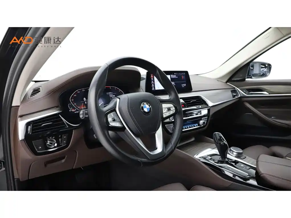 BMW 5 Series 2020 530Li Premium Luxury Package фото 6