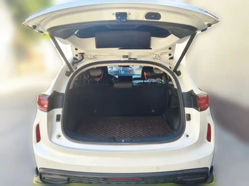 Haval Chitu 2022 2021 Boost Edition 1.5T Platinum Rabbit